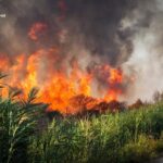 збитки перевищили 30 млрд грн