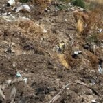 На Одещині знайшли звалище площею 1 га