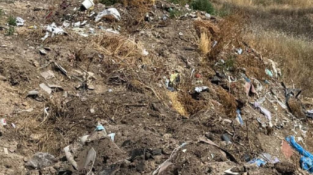 На Одещині знайшли звалище площею 1 га