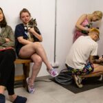 Атака Шахедів – росіяни запустили безпілотники в напрямку України