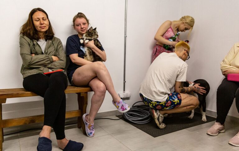 Атака Шахедів – росіяни запустили безпілотники в напрямку України