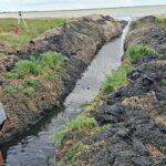 Відновлення водообміну на Тузлівських лиманах подарувало життя рибам і птахам