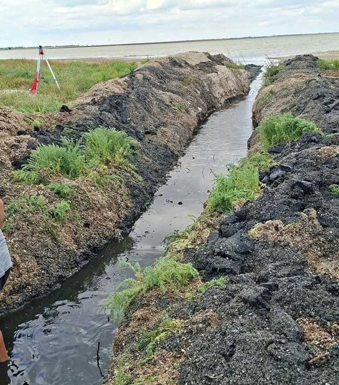 Відновлення водообміну на Тузлівських лиманах подарувало життя рибам і птахам