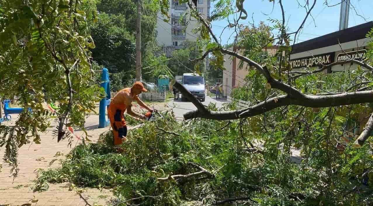 В Одесі 22 серпня вітер повалив 30 дерев