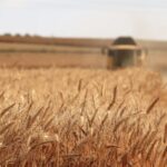 Аграрії Одеської області отримали 3 млрд грн за програмою «5-7-9»