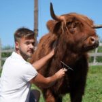 чому Болград прогресує, а Городоччина відстає