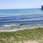 В Одесі зафіксовано забруднення води біля пляжів