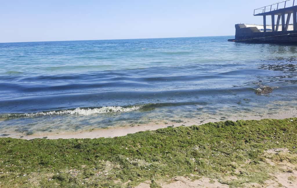 В Одесі зафіксовано забруднення води біля пляжів