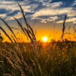 Сонячна неділя в Одесі: +26°C без жодної хмаринки на горизонті