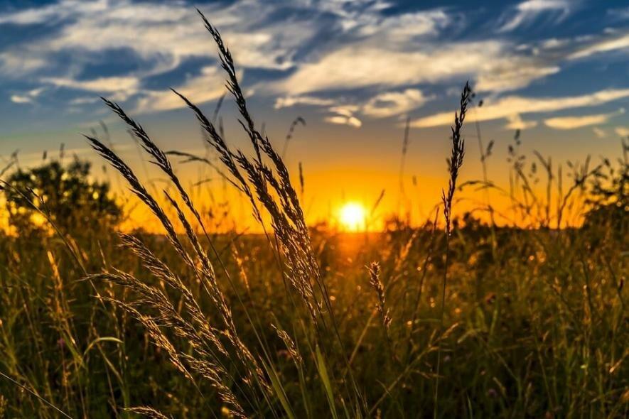 Сонячна неділя в Одесі: +26°C без жодної хмаринки на горизонті