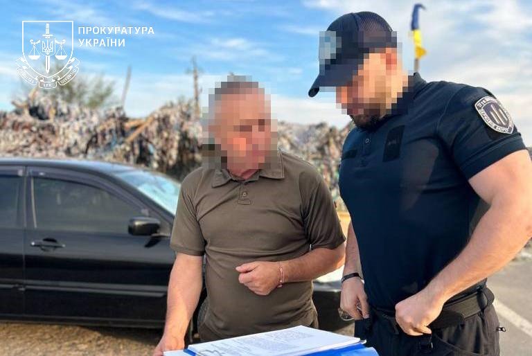 Знищені дерева в національному парку