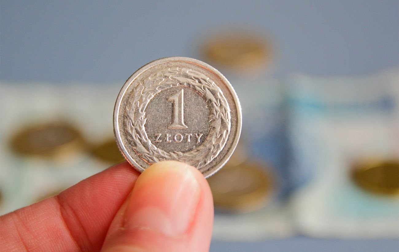 Курс злотого НБУ на 11 вересня впав до 11,31 гривень
