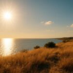 Синоптики прогнозують значне зниження температури вночі на Одещині.