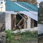Одеський ботанічний сад знову під загрозою: внаслідок російського удару зруйновані теплиці – ФОТО, ВІДЕО