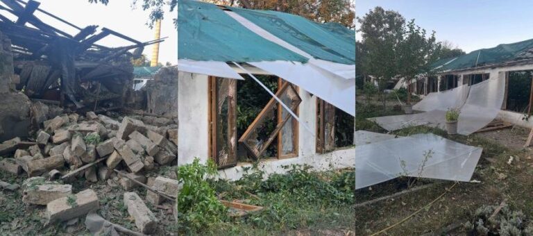 Одеський ботанічний сад знову під загрозою: внаслідок російського удару зруйновані теплиці – ФОТО, ВІДЕО