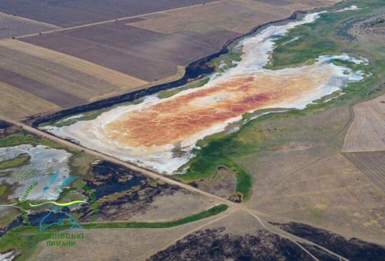 Кліматична посуха на Одещині: Тузлівські лимани вичерпалися вперше за десятиліття