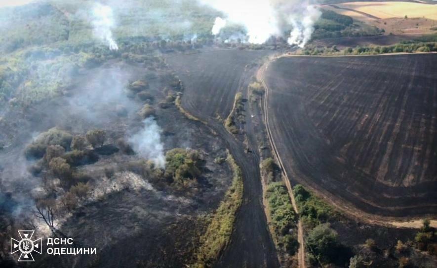 Вогняне лихо на Одещині: збитки понад 30 мільярдів, природа та життя в полум’ї – ФОТО