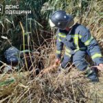 На Одещині рятувальники витягли налякану корову з трясовини: вражаючі фото порятунку