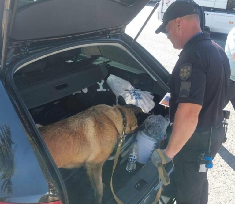 В Одеській області собака на ім’я Торі виявила наркотики в автівці молдованина – ФОТО