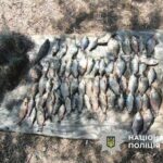 Браконьєр в Ізмаїлі зловлений із сітками: завдано шкоди на 111 тисяч гривень озеру Ялпуг