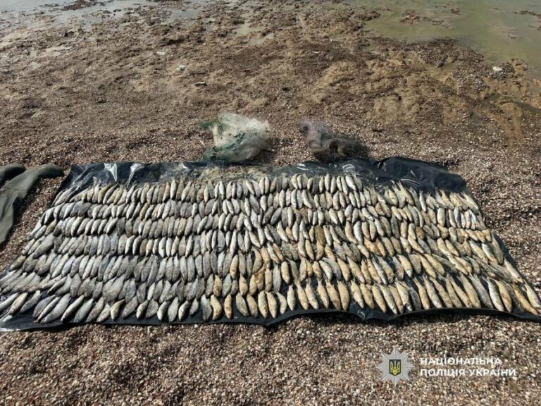 У заповіднику “Тузлівські лимани” затримали браконьєра з 439 кефалями.