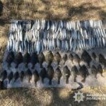 Незаконний улов у заповіднику Одещини: історія затримання порушника з величезною сіткою длиною 50 метрів.