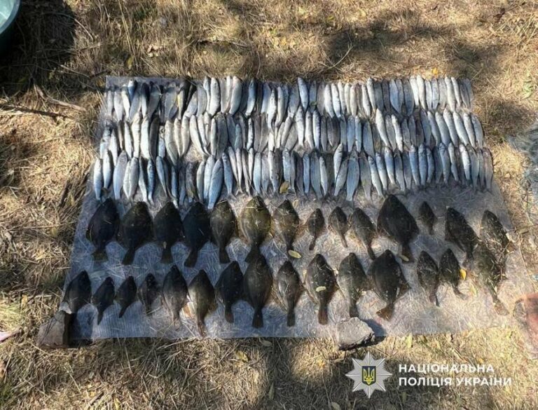 Незаконний улов у заповіднику Одещини: історія затримання порушника з величезною сіткою длиною 50 метрів.