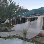 В Одеському ботсаду зруйновано теплицю, рятують рослини