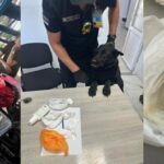 Французький мандрівник із несподіванкою: в Одеському регіоні затримали іноземця з валізою наркотиків, – фото