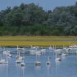 Десятиріччя незаконного будівництва: у заповіднику Одещини почали розбирати незаконні споруди.