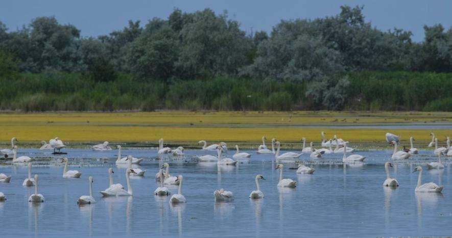 Десятиріччя незаконного будівництва: у заповіднику Одещини почали розбирати незаконні споруди.