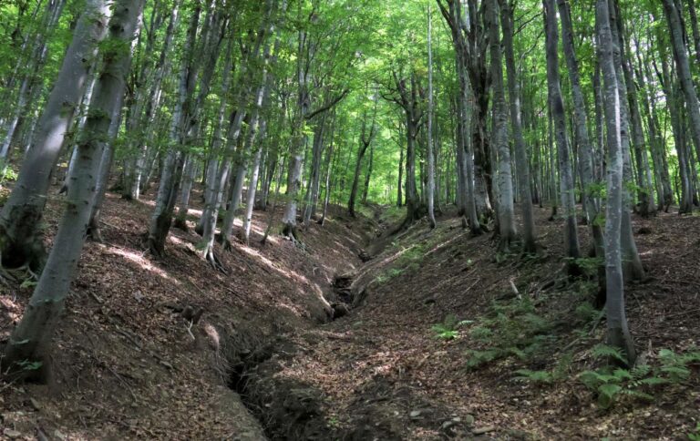 Швеція і Фінляндія закликають ЄС до реформи екологічного законодавства