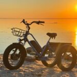 Трехколесные электровелосипеды: удобство, устойчивость и грузовой потенциал