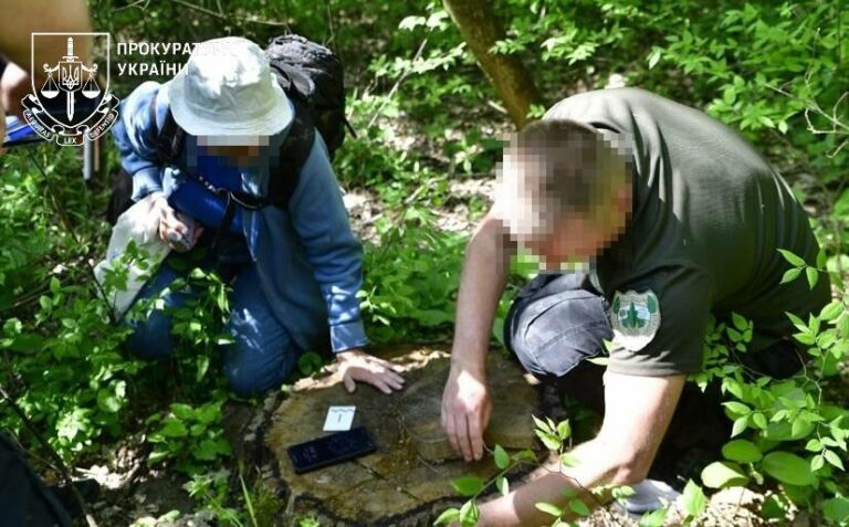 Екологічна руйнація на Одещині: корупція в лісах спричинила збитки понад 157 млн грн – фото