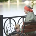 Парки, сквери і зелені зони відпочинку в Києві обробляють від кліщів – де не погуляти, список