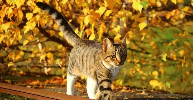 Тепле і хмарне небо: прогноз погоди в Одесі на 11 вересня.