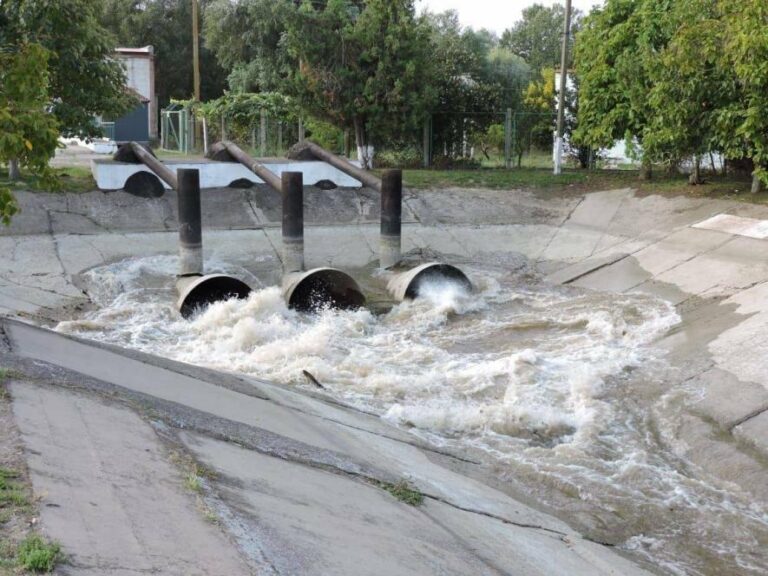 Озеро Катлабух під загрозою зникнення: Одеська ОВА виділила фінансування – ФОТО