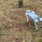 ДСНС продемонструвала робопса, що виконує пошуки боєприпасів у Київській області.