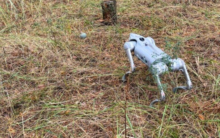 ДСНС продемонструвала робопса, що виконує пошуки боєприпасів у Київській області.