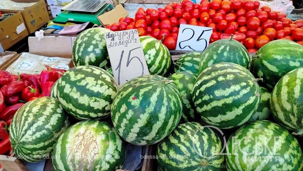 Сім миттєвостей одеського тижня у фото