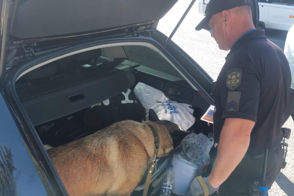 На пропускному пункті «Старокозаче» службова малінуа Торі сприяла прикордонникам у виявленні наркотиків.