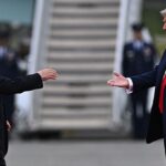 Трамп планує поговорити з Путіним після розмови із Зеленським