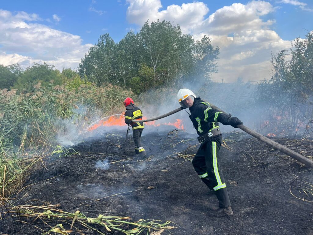 У місті Ізмаїл ліквідували масштабне загоряння очерету