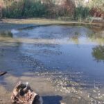 В Одеському регіоні вода становить загрозу для здоров’я людей: екологи виявили тривожні дані.