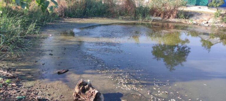В Одеському регіоні вода становить загрозу для здоров’я людей: екологи виявили тривожні дані.