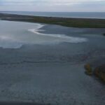 Водна трагедія в Одещині: лиман недалеко від Расейки перетворився на мулове поле – ФОТО