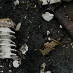 Ворожі атаки на енергосистему: в Одеській області дрони знищили важливий енергооб’єкт, ремонт займе час.