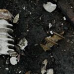 В Одещині 77 тисяч сімей залишаються без електрики після нападу.