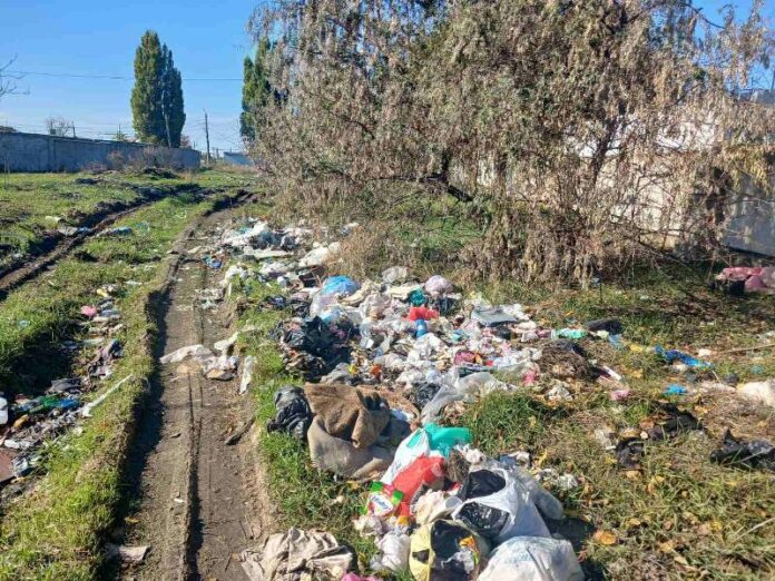 В Одесі виявлено несанкціоновану сміттєзвалище