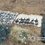 На «Тузлівських лиманах» затримали браконьєра з вражаючою кількістю незаконного вилову